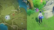 Wolfhook location (Image via HoYoverse)